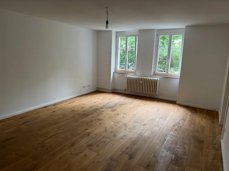 Erstbezug perfekt geschnittene 2-Zi-Whg. mit Terrasse, Soutterain — photo 1